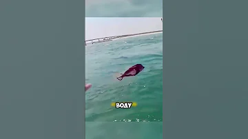 Fisherman Catches Tuna Worth Thousands Of DOLLARS 