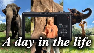 A day in the life