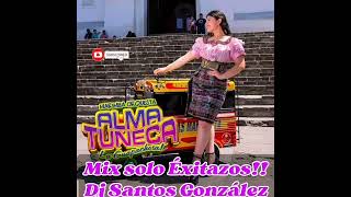 La Guapachosa Alma Tuneca Mix | Chichicua, El Foco, el zunzal, cumbia del ayayay, la Pipiripau