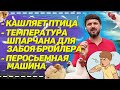 Выращивание бройлера,перосьемная машина, чихает бройлер, бизнес на бройлерах кобб500 на участке