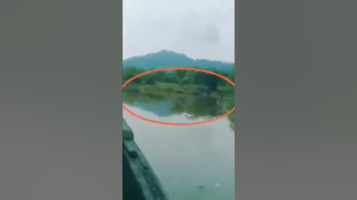 titanoboa snake 🐍 caught on camera 😱
