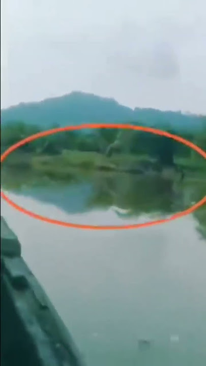 titanoboa snake 🐍 caught on camera 😱