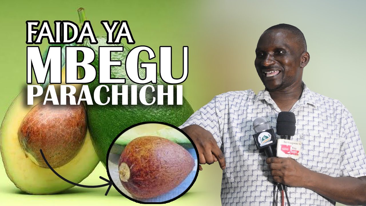 FAIDA YA MBEGU YA PARACHICHI - DK SULE