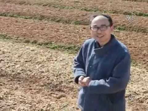 친환경 양파에 투자하고 양파즙으로 돌려받으세요.