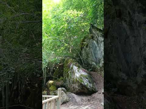 Tanıtım videosu - Gediz Çukurören