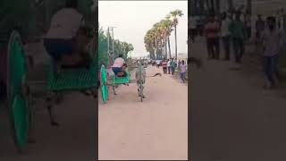 Chowduvada Jagadeesh Junior Bull Creations 8778