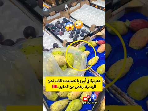 مغربية في أوروبا تصدمات لقات تمن الهندية أرخص من المغرب المغرب  اكسبلور
