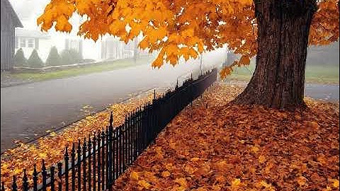 سورة الفاتحة بصوت القارئ زكرياء عبد الله غازيوي