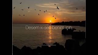 Cahit Sıtkı Tarancı - Desem ki Seslendiren - Ruhumun Fısıldadıkları