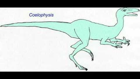 PL EXAM 2: VARIATIONS IN THEROPOD SIZE.avi