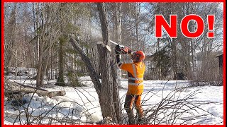 I FAILED WITH THE CHAINSAW - Learn Chainsaw Safety From My Mistake by Finnish Lumberjack 2,363 views 8 days ago 3 minutes, 35 seconds