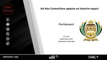 Parliament Ad Hoc Committee | Update on outstanding work