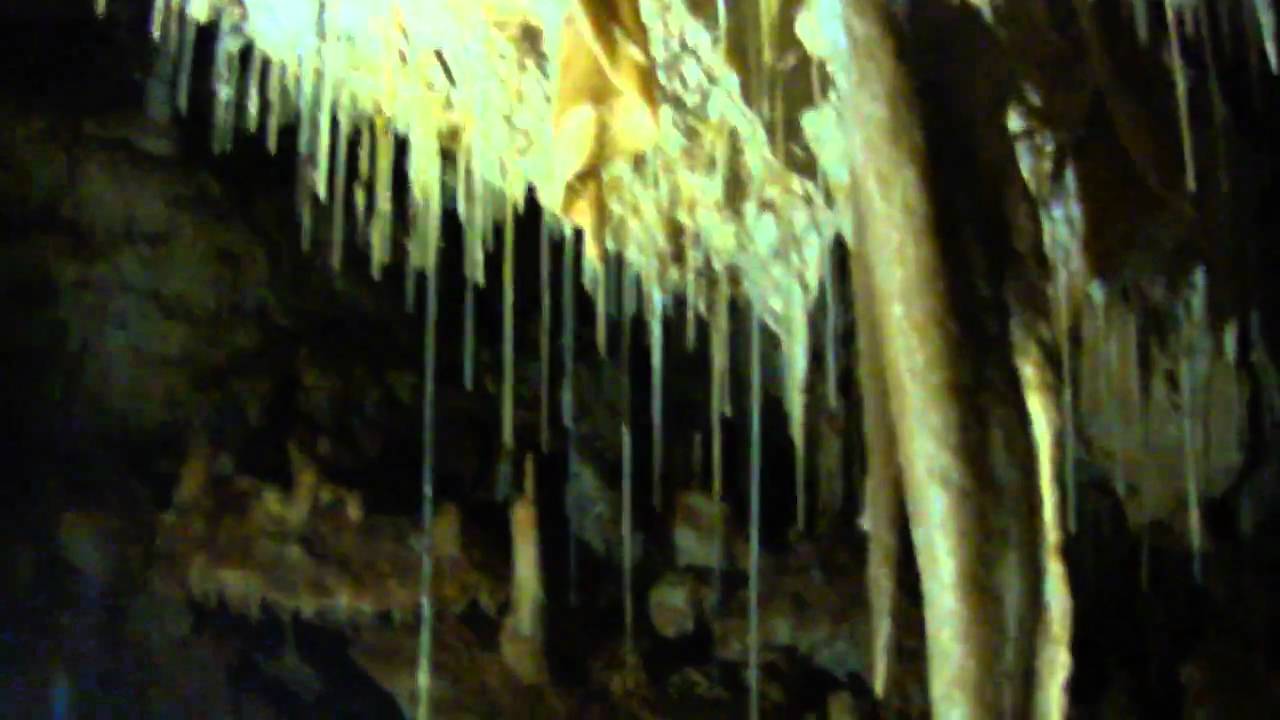 Vallgornera