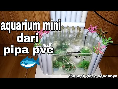  aquarium  mini dari  pipa  pvc  YouTube