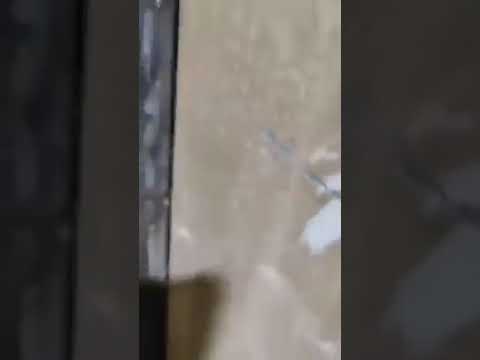 شاهد لحظة اعتقال الشاب أصيل دويكات عقب اقتحام منزله في بلدة بيتا جنوب نابلس 