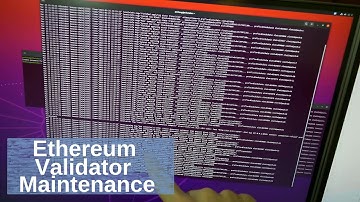 Updating and Pruning My Ethereum Validator