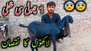 This Small Mistake Can Make Big Loss In Goat Farming To You || Bkra Farm