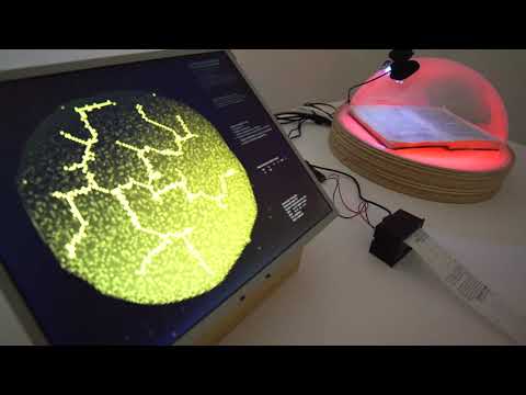 Degenerative Cultures living organisms artificial intelligence