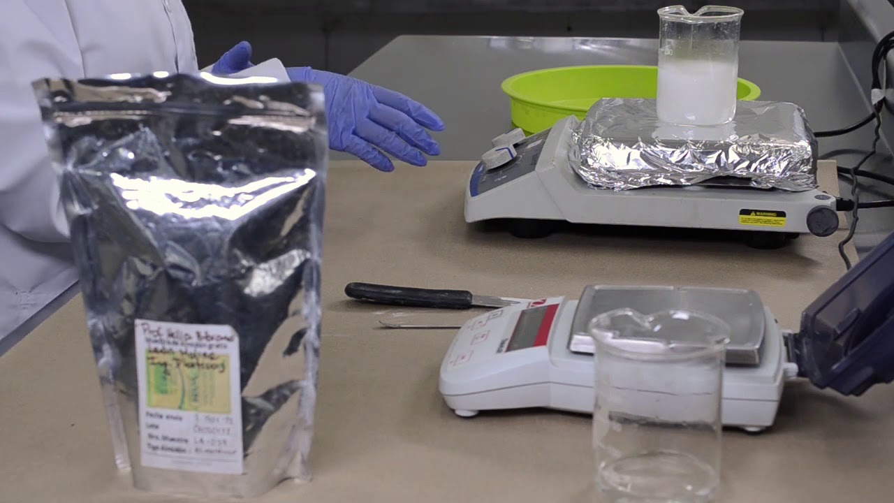 PLÁSTICOS BIODEGRADABLES - OBTENCIÓN DE PELÍCULA DE ALMIDÓN GELATINIZADO