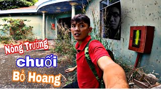 24H HỒI HỢP \& LO SỢ | Khi Đột Nhập Nông Trường Chuối Bị Bỏ Hoang Không Ai Dám Vào | Sang Vlog