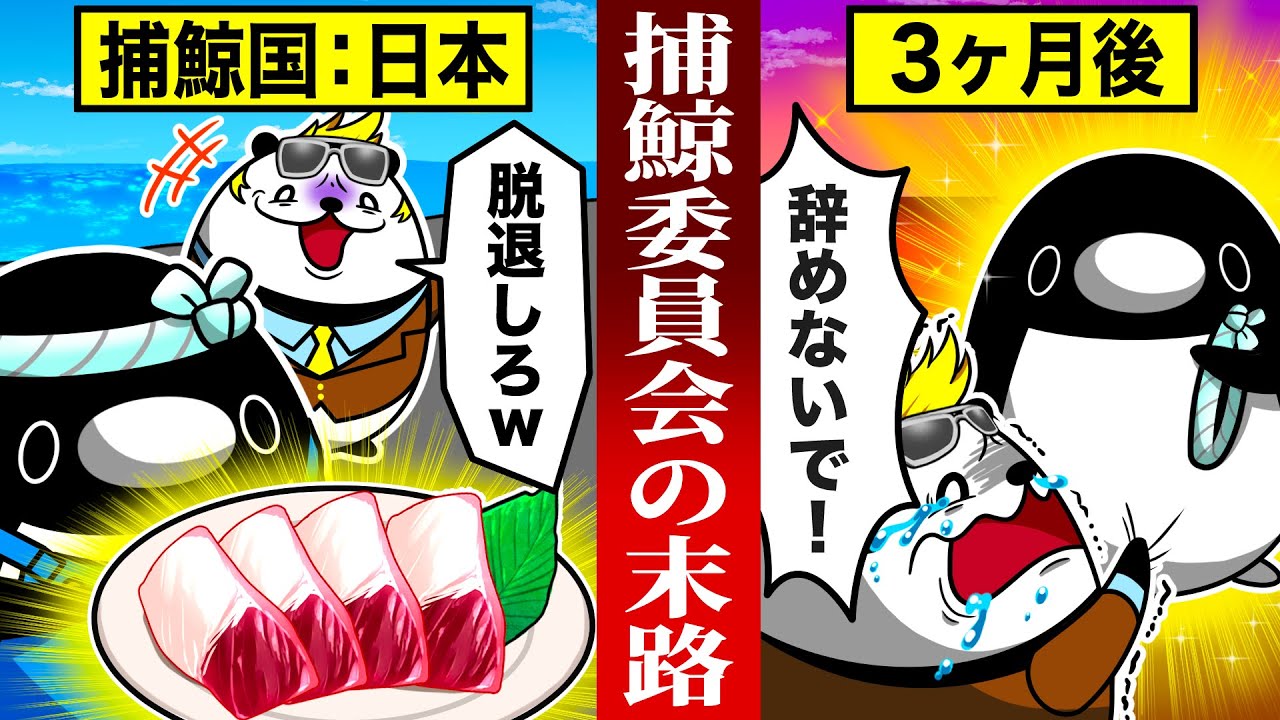 【実話】あの手この手で日本を脱退させた国際捕鯨委員会の末路【アニメ】