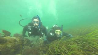 Leeane & Keith Discover Scuba