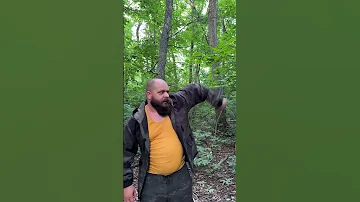 Что можно делать в схватке с медведем