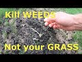 Prevent weeds in NEW GRASS