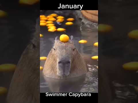 your month your