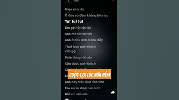 Cuộc Gọi Lúc Nữa Đêm - AMEE #music #relax #hoasenbanmai