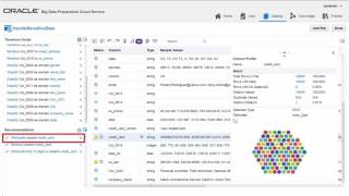 Oracle Big Data Preparation Cloud Service: Handling Sensitive Data video thumbnail