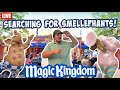 Live day at magic kingdom  smellephants on parade and disney springs disney world livestream