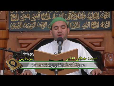 السيد مصطفى الغالبي سورة يس 