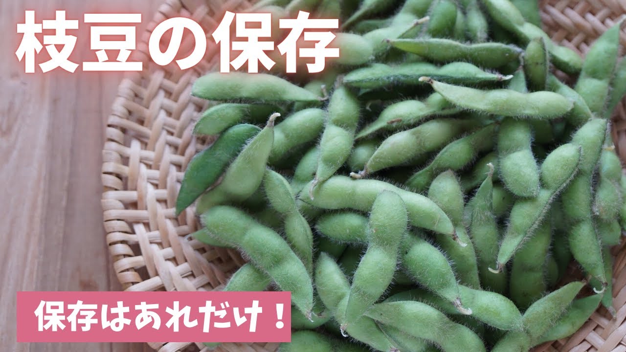 おいしく長持ち【枝豆の保存方法】島本美由紀の野菜保存から食品ロス削減！