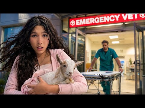 EMERGENCY VISIT TO THE HOSPITAL