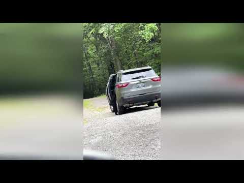 Hilarious video shows moment mum captures bear climbing into neighbour's car - and hiding in boot