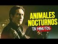 ANIMALES NOCTURNOS: La VENGANZA MÁS FRÍA nace del DESAMOR