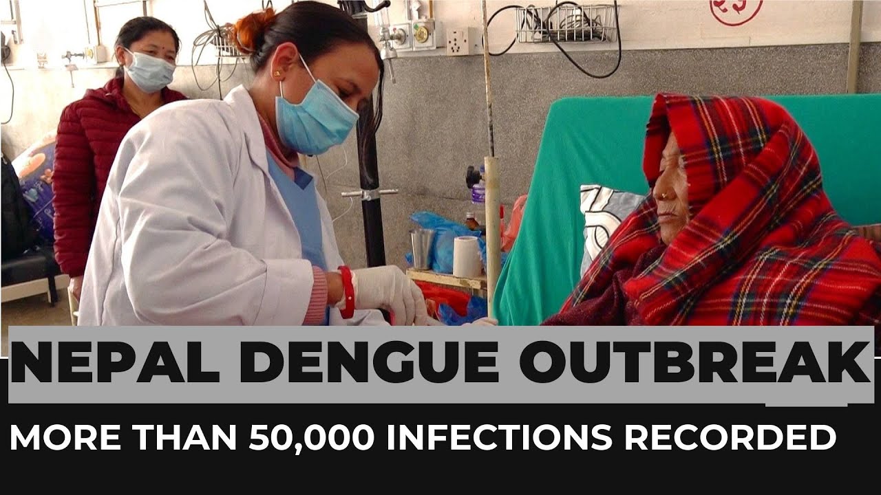 Вспышка лихорадки денге в Непале: зарегистрировано более 50 000 случаев заражения