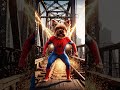 Super Spider Yorkie in Action