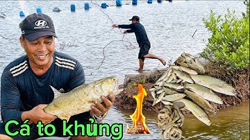 Chài cá ven biển / dính cá khủng lồ