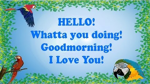 Teach your Parrot to say Hello, Whatta you doing, Goodmorning & I Love you! (With 1 hour breaks)