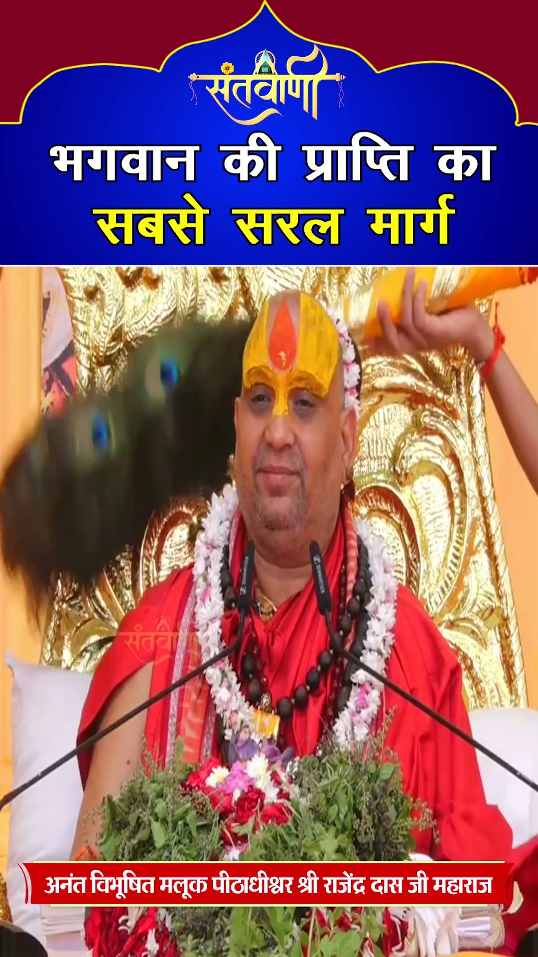 मलूक पीठाधीश्वर श्री राजेंद्रदास जी #shorts