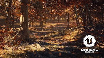Autumn Forest | Unreal Engine 5.1