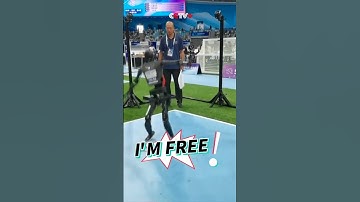 Hilarious Moments at 2025 World Humanoid Robot Games #robot #technology #hilarious