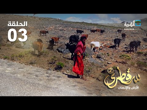 جولة في خبايا وتفاصيل الريف السقطري سقطرى الأرض والإنسان2 الحلقة الثالثة