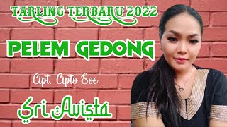 Pelem Gedong || Sri Avista || Cipt. Cipto Soe ( ALM ) TARLING 2022