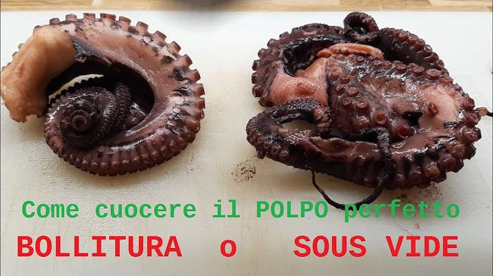 Come cuocere il Polpo perfetto - CBT e BOLLITURA a Confronto - Sous Vide o la Tradizionale ?