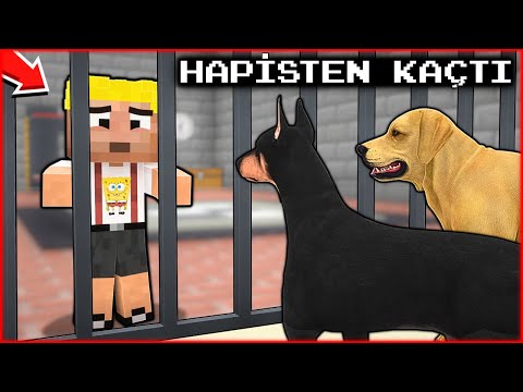 EFEKAN HAPSE GİRDİ, KÖPEK ÇETESİ HAPİSTEN KAÇIRDI! 😱 - Minecraft