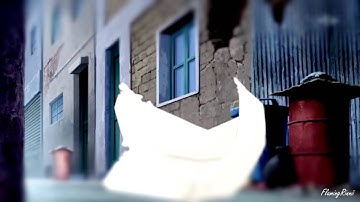 「AVS 」When We Stand Together || Part 7