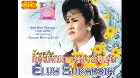 ELVY SUKAESIH    Nasib Janda   BOWO Collect